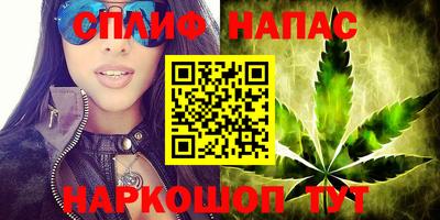 гашик Кимры