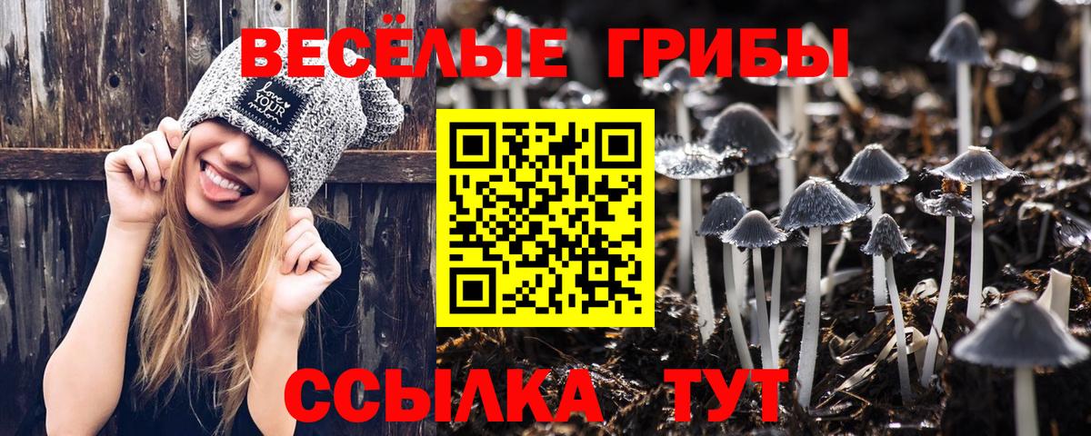 купить закладку  Вход с VPN  Ноябрьск  Галлюциногенные грибы Psilocybine cubensis 